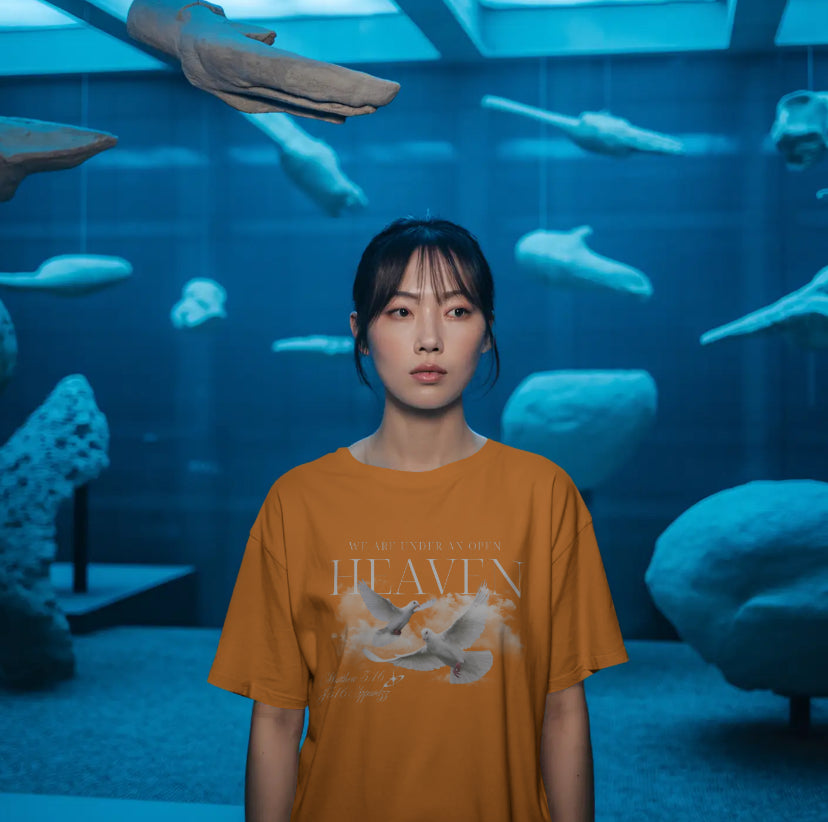 Under An Open Heaven